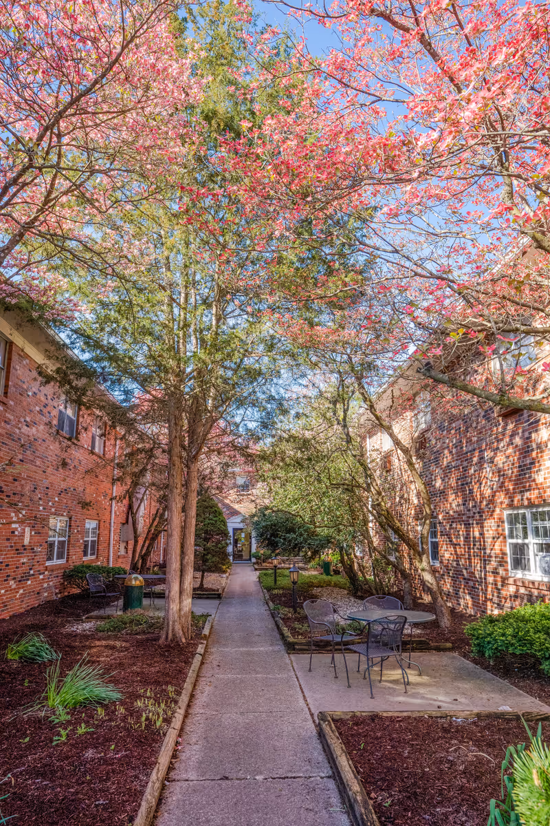 Outdoor courtyard area between two brick buildings with a concrete pathway, blooming pink trees, green shrubs, and metal patio table with chairs under the trees.