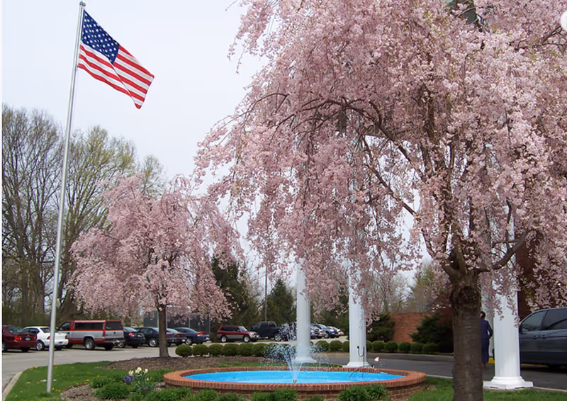 Outdoor scene at Colonial Gardens featuring a circular brick fountain with water jets, surrounded by blooming pink cherry blossom trees. An American flag on a flagpole is visible on the left side, with several parked cars and trees in the background.
