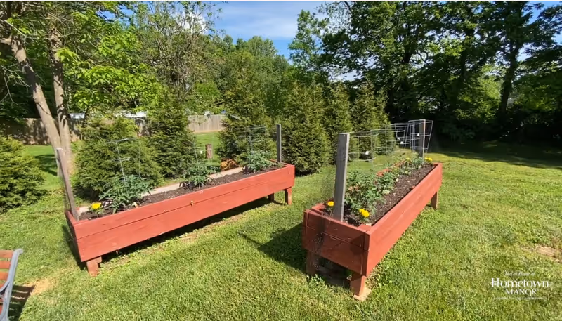 Two raised wooden garden beds painted red, filled with soil and young plants, situated on a grassy lawn with trees and shrubs in the background under a blue sky.