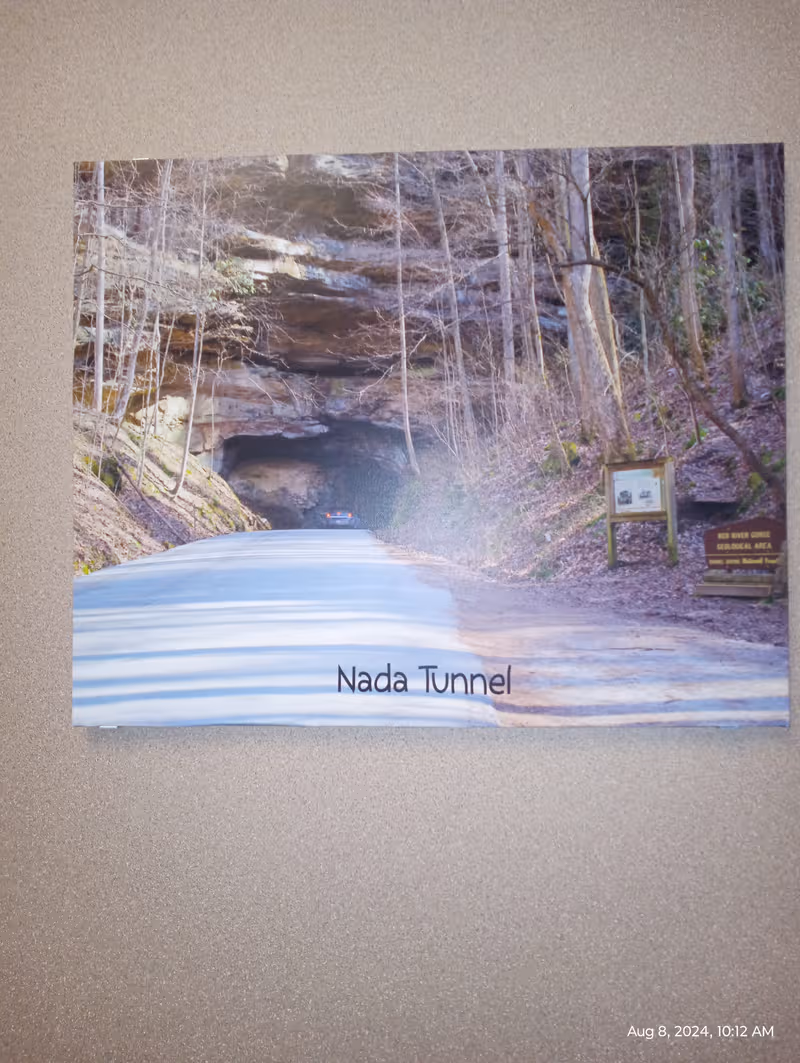 Photo of Nada Tunnel road winding through a forested rock tunnel