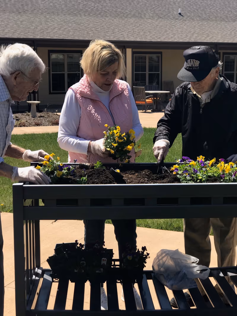 Three elderly individuals gardening together outdoors, planting yellow and purple flowers in a raised garden bed on a sunny day, with a building and patio furniture visible in the background.