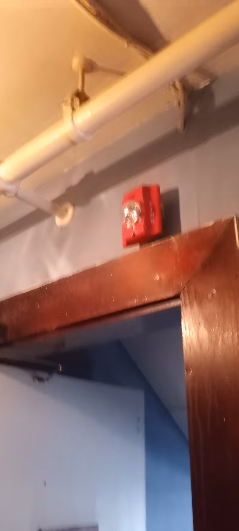 Indoor hallway with exposed pipes and a red fire alarm above a doorway.