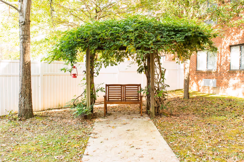 A wooden bench under a pergola covered with green vines in an outdoor garden area. There is a white fence in the background, a tree to the left, and a brick building with windows to the right. Fallen leaves are scattered on the ground.
