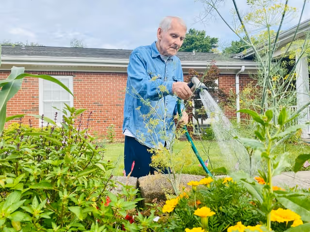 An elderly man wearing a blue denim shirt waters a garden bed filled with various green plants and yellow flowers outside a brick building under a cloudy sky.