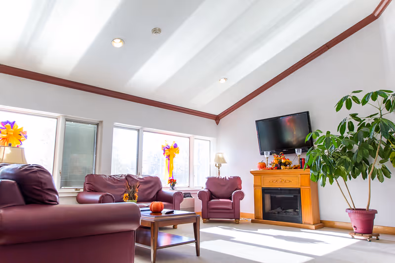 Sunny lounge area with burgundy leather seating, a fireplace with TV, and a large potted plant.