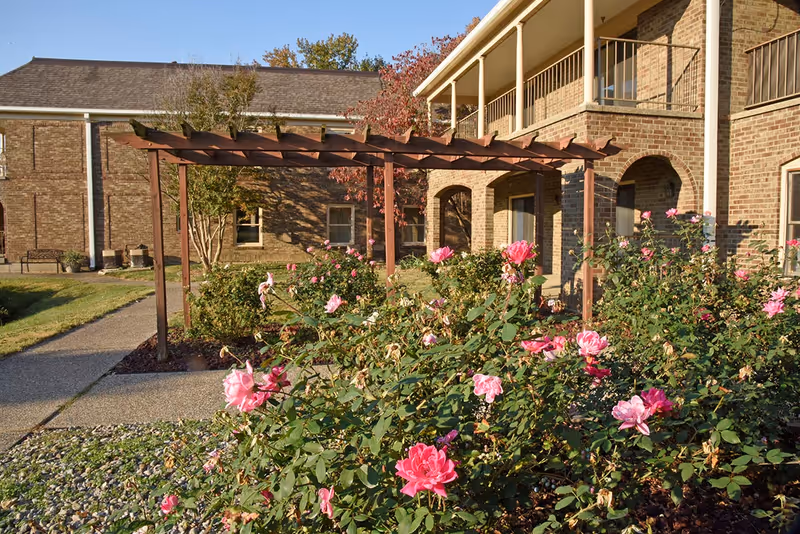 Brick apartment building with a wooden pergola and blooming pink roses in a sunny courtyard.