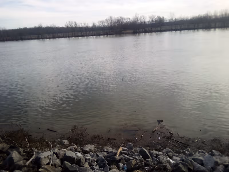 Calm lake with rocky shoreline and a distant line of trees along the horizon.