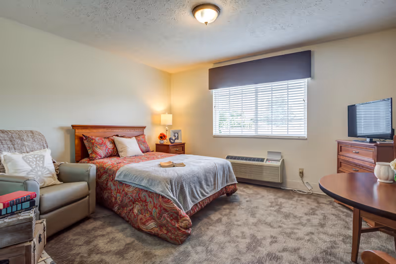Sunlit bedroom featuring a neatly made bed with patterned bedding, an armchair, a dresser with TV, a bedside table with lamp, and a window with blinds.