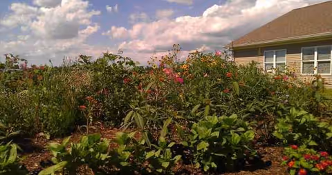 A blooming garden with flowering shrubs outside a beige senior living facility.