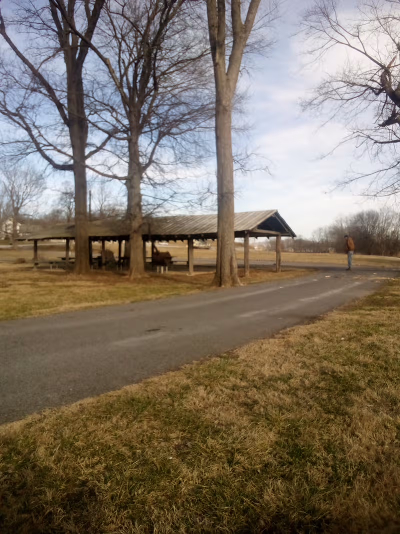Outdoor pavilion with benches beside a paved road, tall trees, and a person nearby.