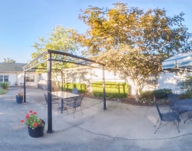 Outdoor patio area with metal tables and chairs under a pergola structure, surrounded by potted plants and trees with sunlight casting shadows on the concrete ground.