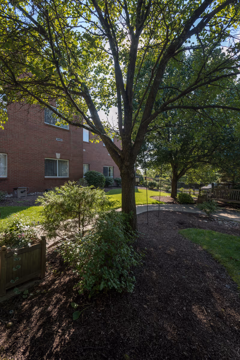 A shaded outdoor garden area with a large tree in the center, surrounded by bushes and a mulched pathway. A brick building with several windows is visible in the background, along with a wooden bench and a metal fence further back.