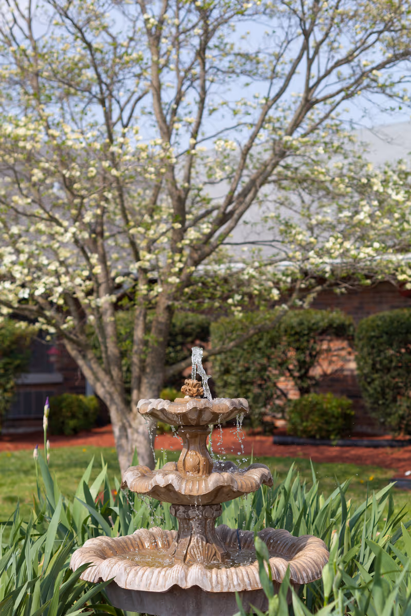 A three-tiered stone water fountain surrounded by green plants with a blooming tree and trimmed bushes in the background, set in an outdoor garden area.