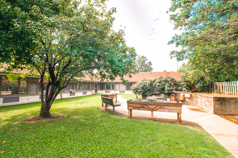 Outdoor courtyard with a grassy lawn, trees, benches, and raised planters in front of a single-story building.