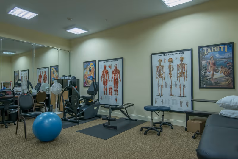 Therapy/exercise room with gym equipment, exercise ball, chairs and anatomical charts on the walls.
