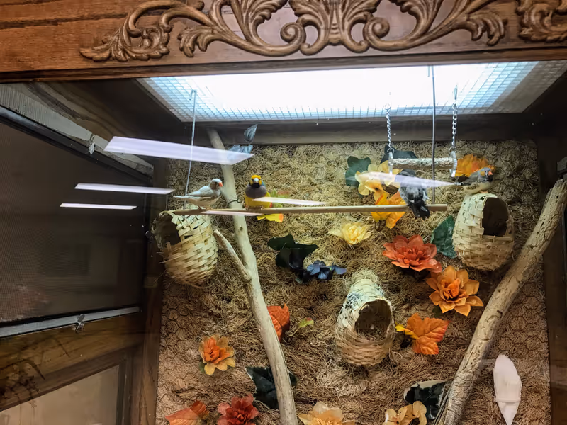 A decorative bird enclosure with small colorful birds perched on wooden sticks and inside woven nests. The background is adorned with artificial flowers and leaves, and the enclosure has a wooden frame with ornate carvings at the top.