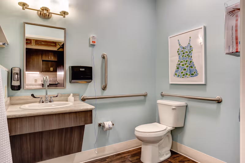 Accessible bathroom at The Springs at Stony Brook with sink, mirror, toilet, and grab bars.