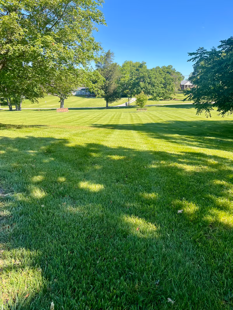 A large, well-maintained grassy lawn with several trees casting shadows on the grass. In the background, there are more trees, a clear blue sky, and a few buildings partially visible.