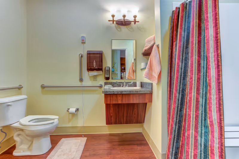 Accessible bathroom with toilet, grab bars, sink, mirror, and colorful shower curtain.