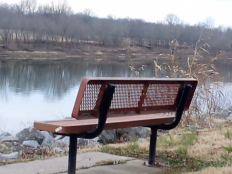A brown bench by a calm lake with bare trees in the distance.