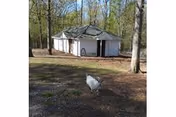 Fern Terrace Lodge of Murray's white lodge exterior in trees with a dog in foreground.