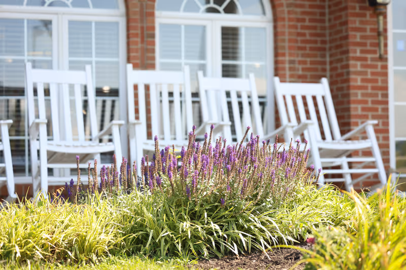 Purple flowering plants in front of a brick building porch with white rocking chairs.